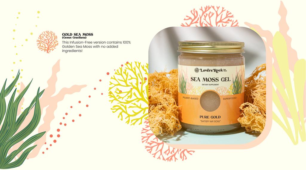 Irish gold Sea Moss Gel infused with Key Lime – Love4radiance