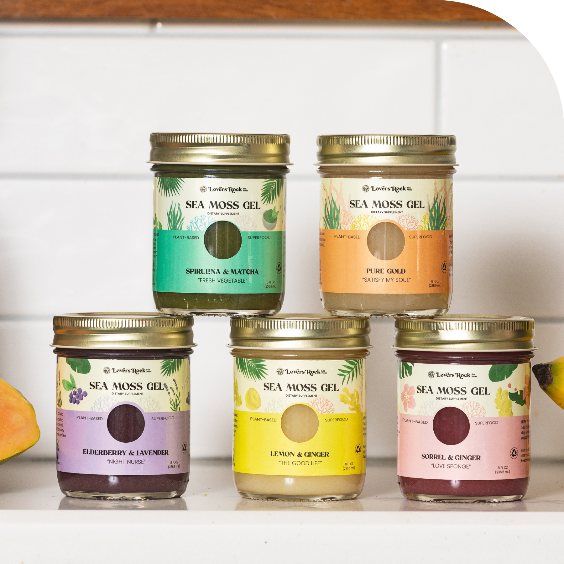 sognando LANSHEL ロックスジェル 4個セット 60g 2 Jar Sample Pack – Lovers Rock Sea Moss
